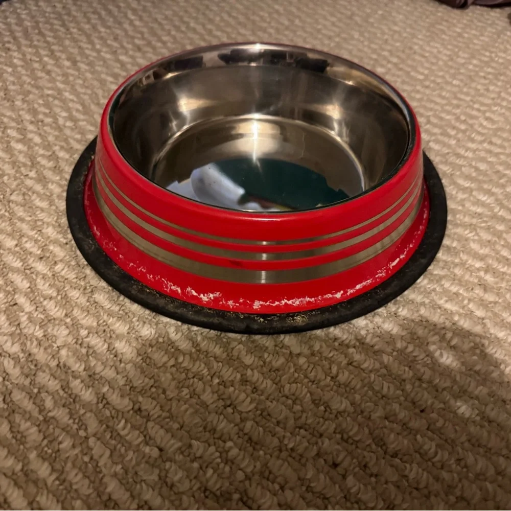 Red and Silver Pet Bowl